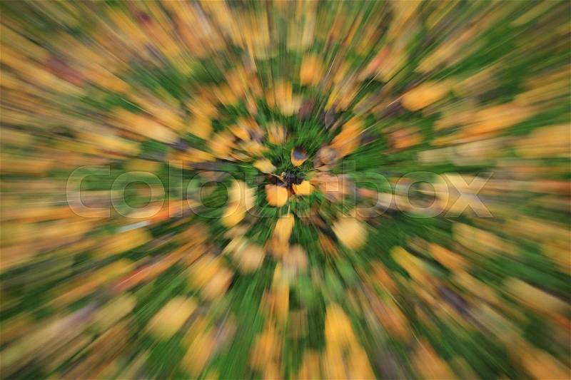 Art, many fallen multicolored leaves in a circle on the lawn at the park in fall, stock photo