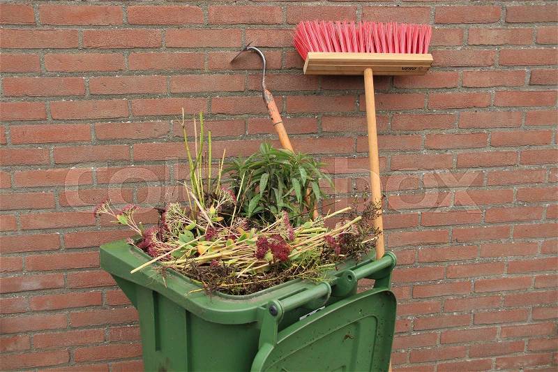 A hoe, broom and a full green container with garden waste from Goldenrod, Sedum and New York Aster from the garden of the house, stock photo