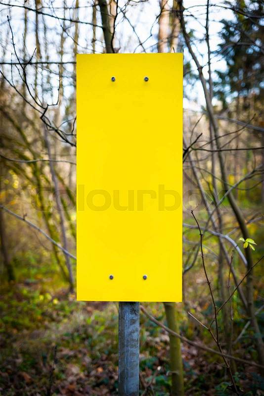 Image of empty yellow sign with free space in forest, stock photo