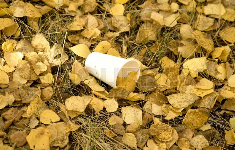 Trash, plastic ware on yellow leaves, stock photo