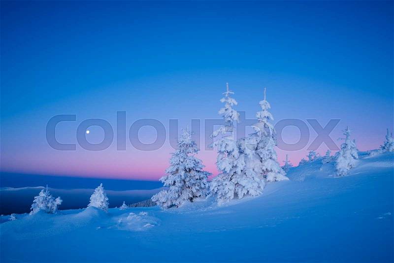 Colorful winter landscape. Morning twilight. Beauty in nature. Christmas view, stock photo