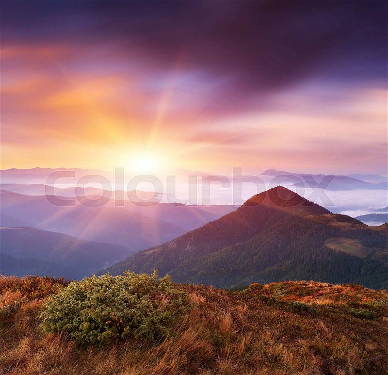 Delicate state of nature in the mountains. Beautiful landscape at dawn. Carpathian mountains, Ukraine, Europe, stock photo