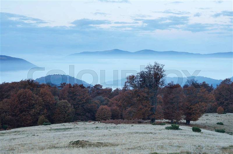 Autumn scenery in the mountains. Morning twilight. Fog in the valley. Beech forest on the slopes. Carpathians, Ukraine, Europe, stock photo