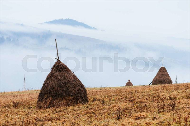 Rural landscape with stacks of dry hay. A cloudy day with mist, stock photo