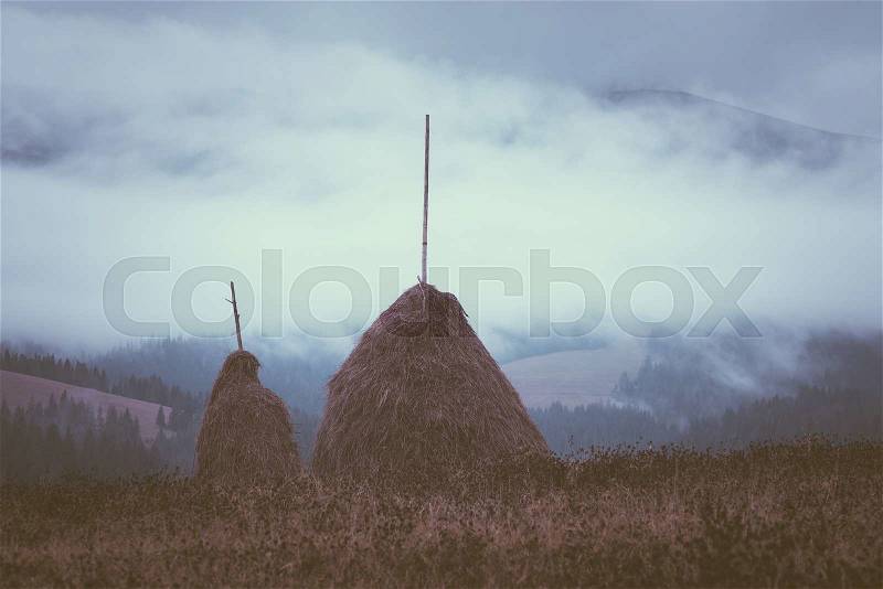 Two stack of dry hay in the mountainous village. Autumn landscape with fog on an overcast day. Color toning. Low contrast, stock photo