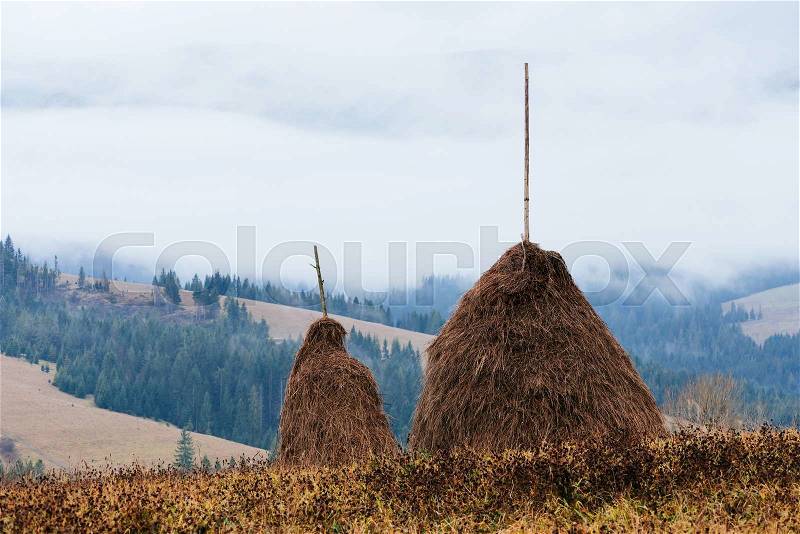 Two stack of dry hay in the mountainous village. Autumn landscape with fog on an overcast day, stock photo