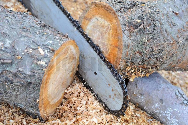The chainsaw blade cutting the log of wood, stock photo