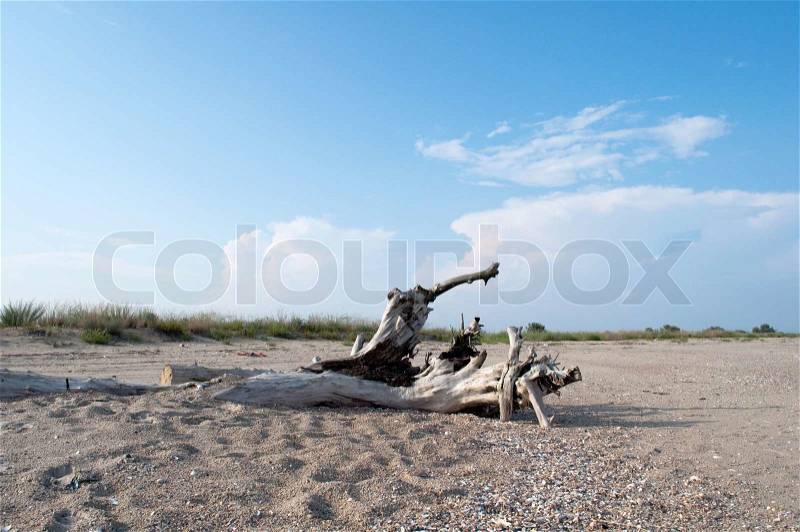 Seascape - sky and sand, stock photo