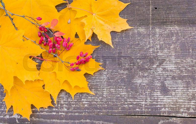 Autumn background/ Autumn leaves and berry as a heart over wooden background/Thanksgiving day concept, stock photo