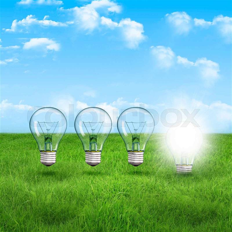 Light bulb on the green grass, stock photo