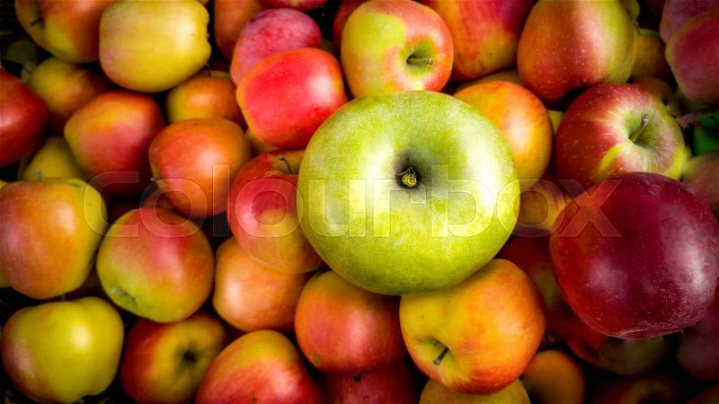 Closeup photo of one green apple lying on pile of red apples, stock photo