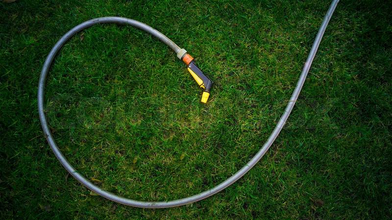 Garden hose lying on fresh green grass at garden, stock photo