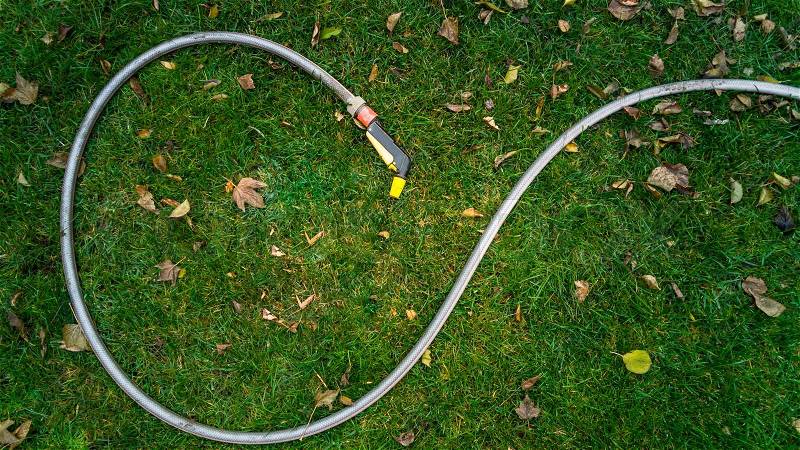 Rubber garden hose lying on grass covered with leaves, stock photo