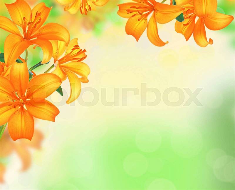 Lily Flowers border design over blurred nature background. Summer Flowers, stock photo