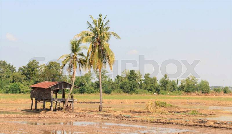 Traditional huts with coconut tree ,Thailand, stock photo