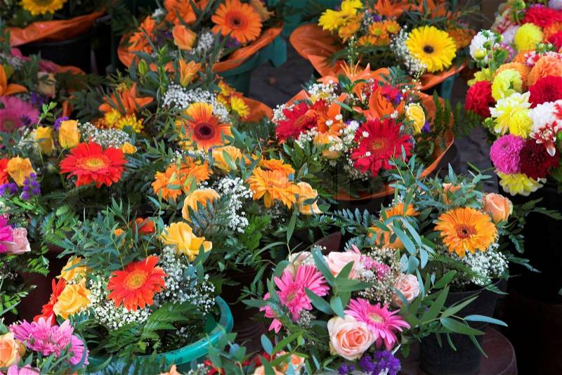 Closeup picture of flowers and plants in pots on a market, stock photo