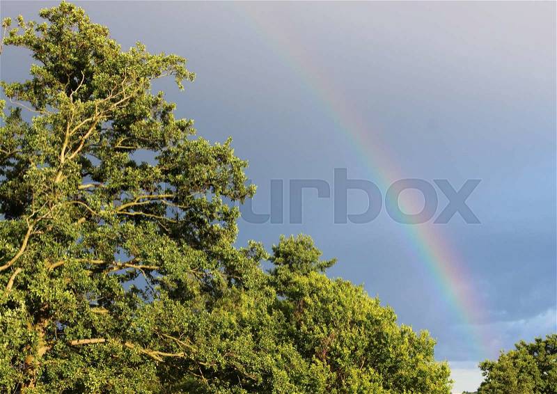 Natural Rainbow on Dark Blue Sky above Green Bright Forest, stock photo