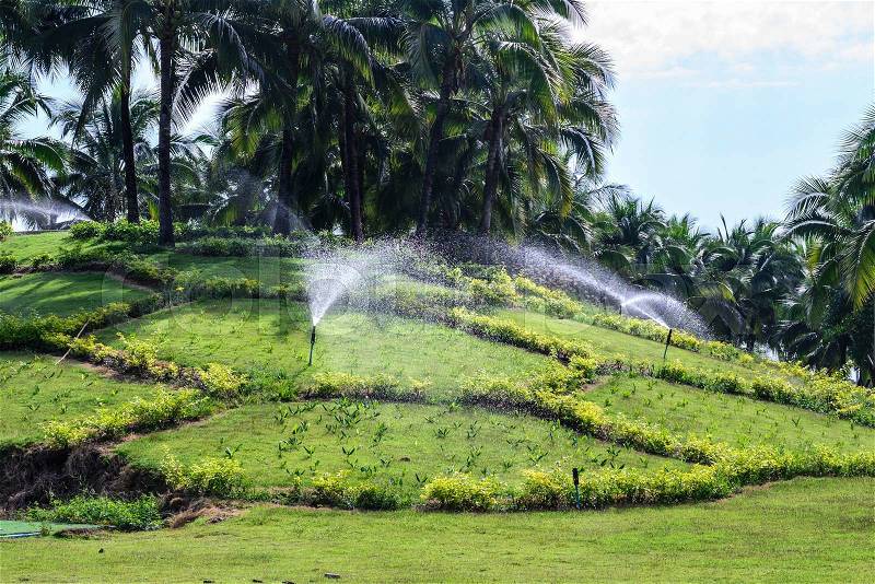 Garden lawn water sprinkler, stock photo