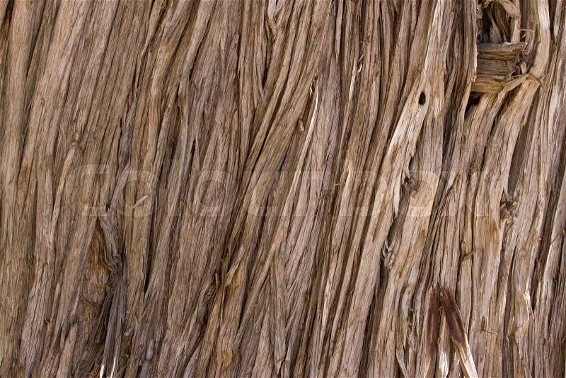 Wood vertical texture. Cracked juniper. Pine wood background, stock photo