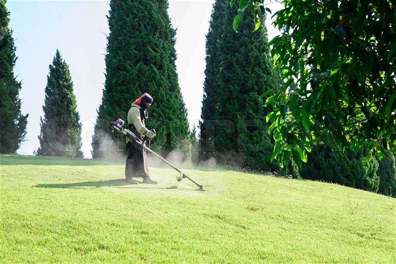 Worker mowing lawn in garden, stock photo