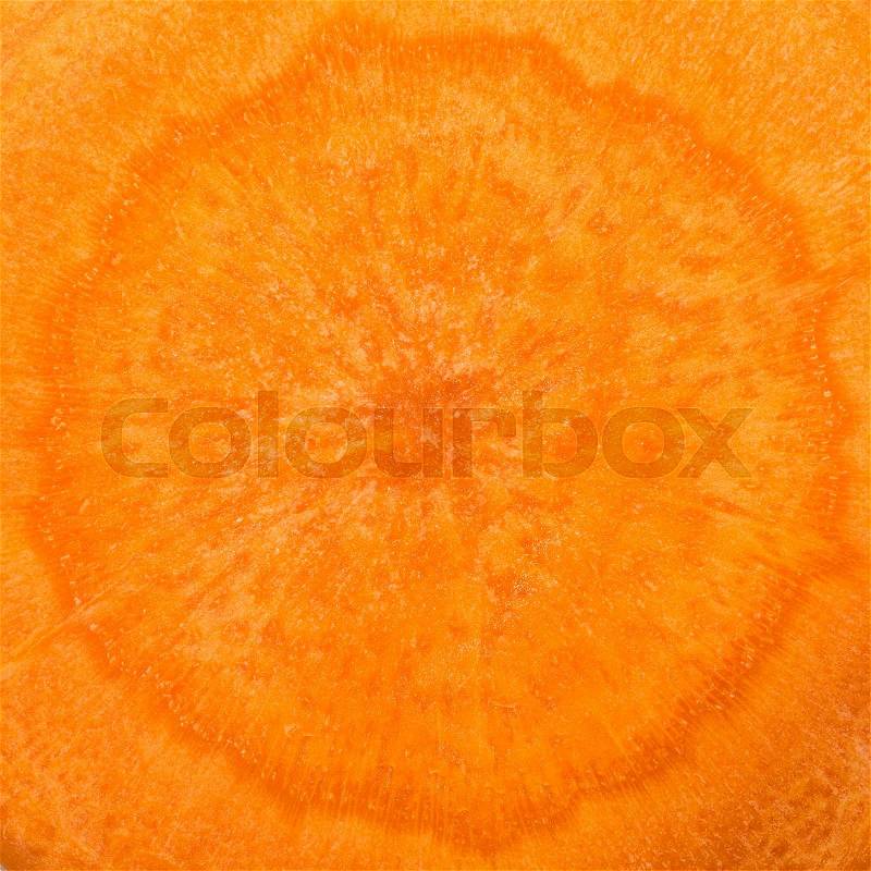 Closeup view of fresh carrot cut, stock photo