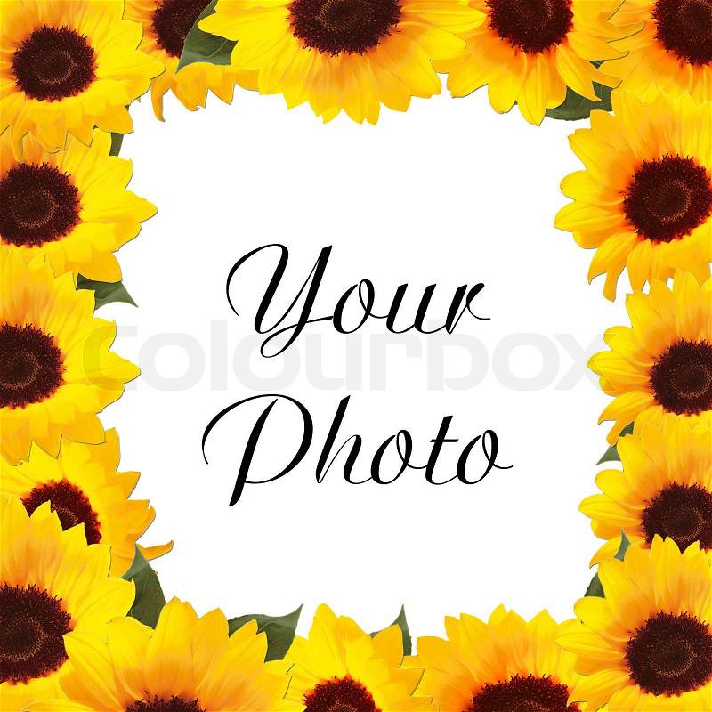 Sunflowers frame with space for text or photo, stock photo
