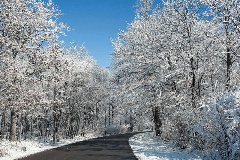 A snowy winter scene along a winding road with fresh snow clinging to the trees and a beautiful bright blue sky, stock photo