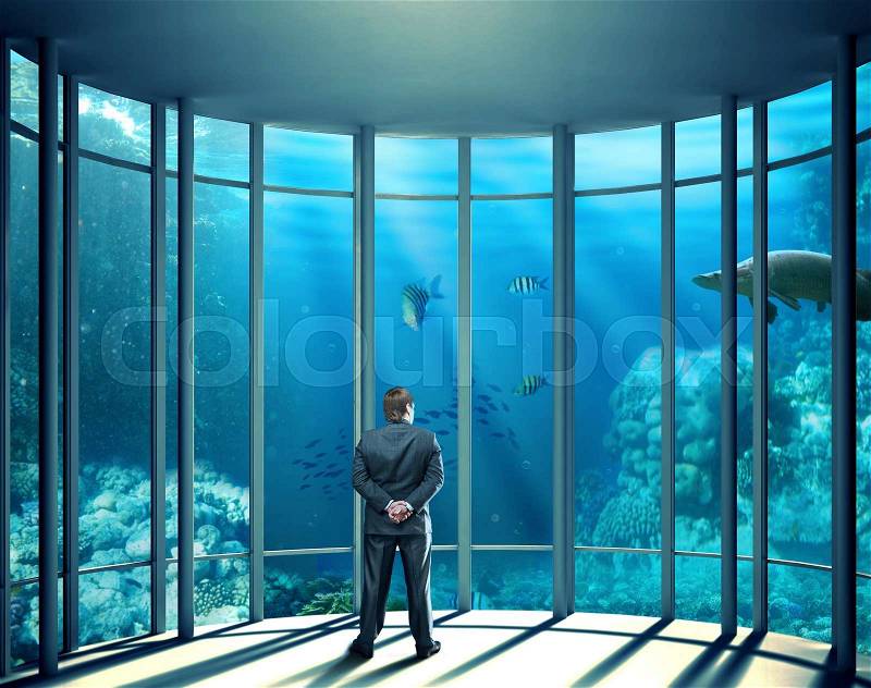 Businessman standing in the office and looking at the sea life underwater, stock photo