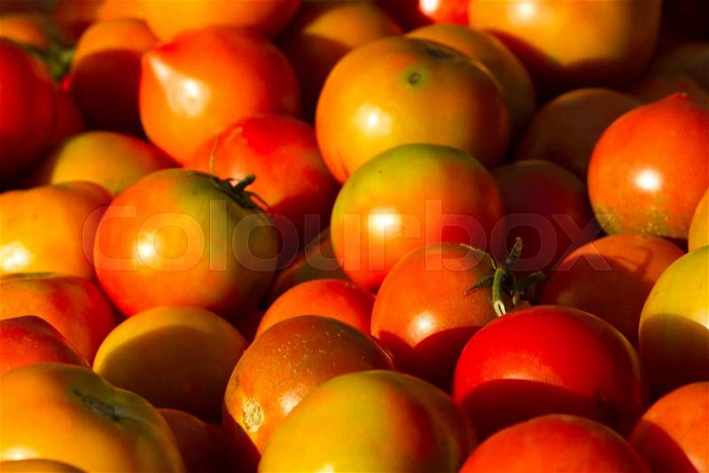 Background of groups of mature tomato market. Agriculture, stock photo