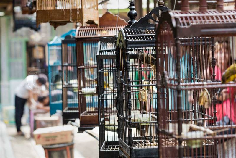 Colorful cages for sale at the bird market in Yogyakarta, Java, Indonesia, stock photo