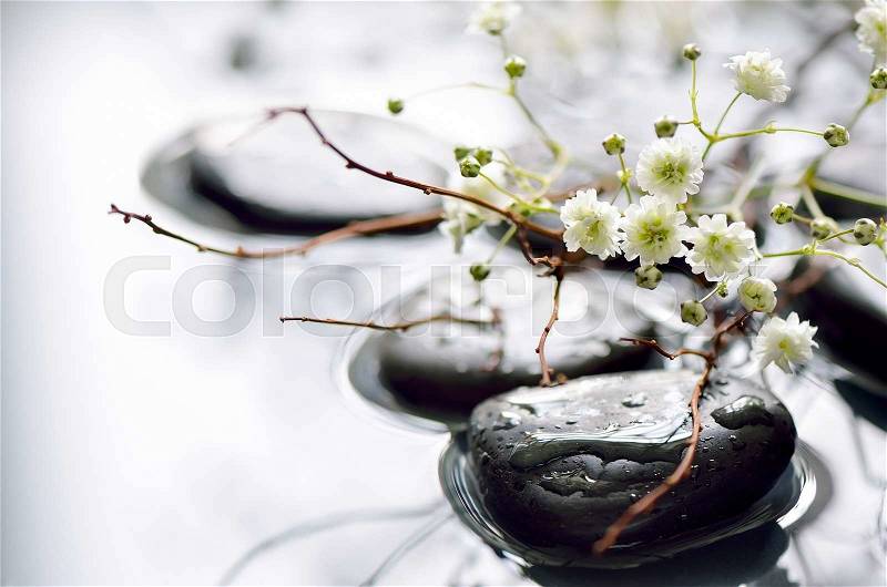 Spring branch under stones in water, spa spring concept, stock photo