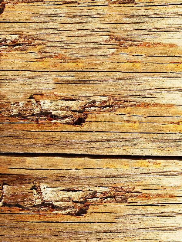 High resolution natural wood grain texture, stock photo