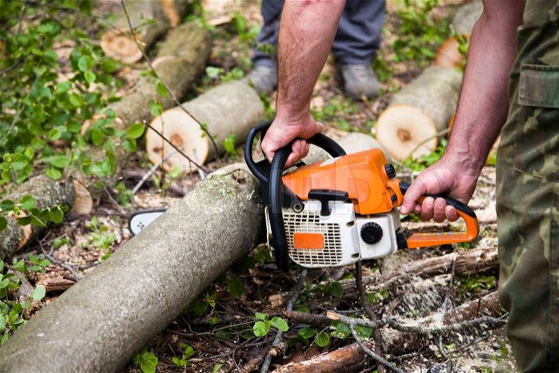 Forestry workers with orange chainsaw, stock photo