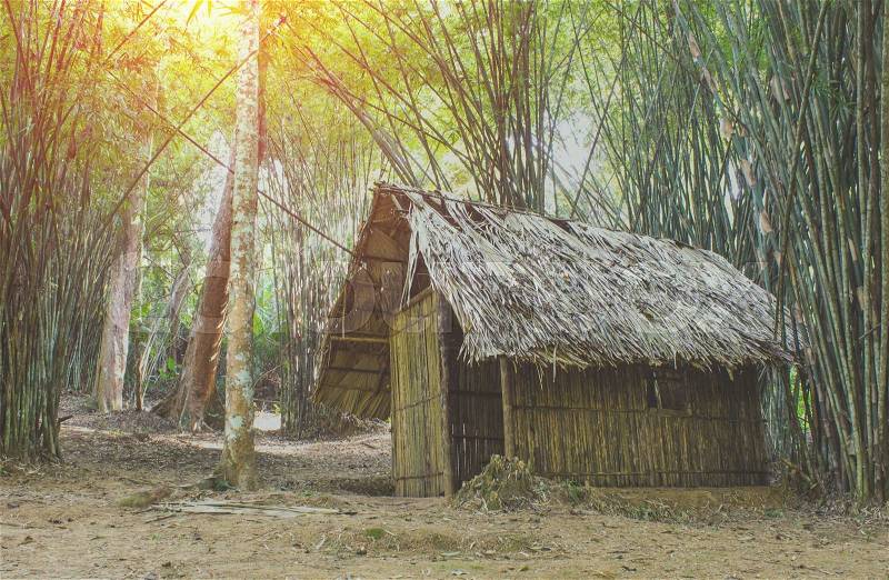 Cottage In the bamboo forest. Vintage filter, stock photo