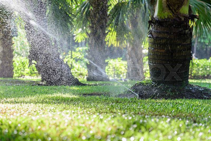 Garden lawn water sprinkler system, stock photo