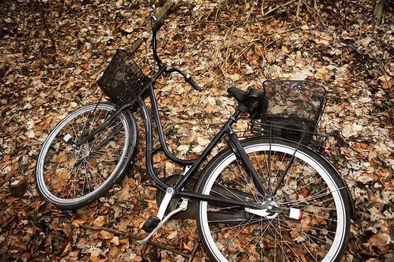 A ladies push bike laying on the ground covered in autumn leaves, stock photo