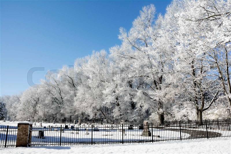 A snowy winter scene at a cemetary with the snow clinging to the trees and a beautiful bright blue sky, stock photo