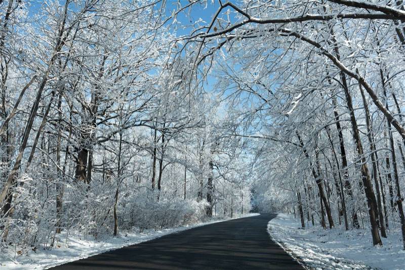 A snowy winter scene along a winding road with fresh snow clinging to the trees and a beautiful bright blue sky, stock photo