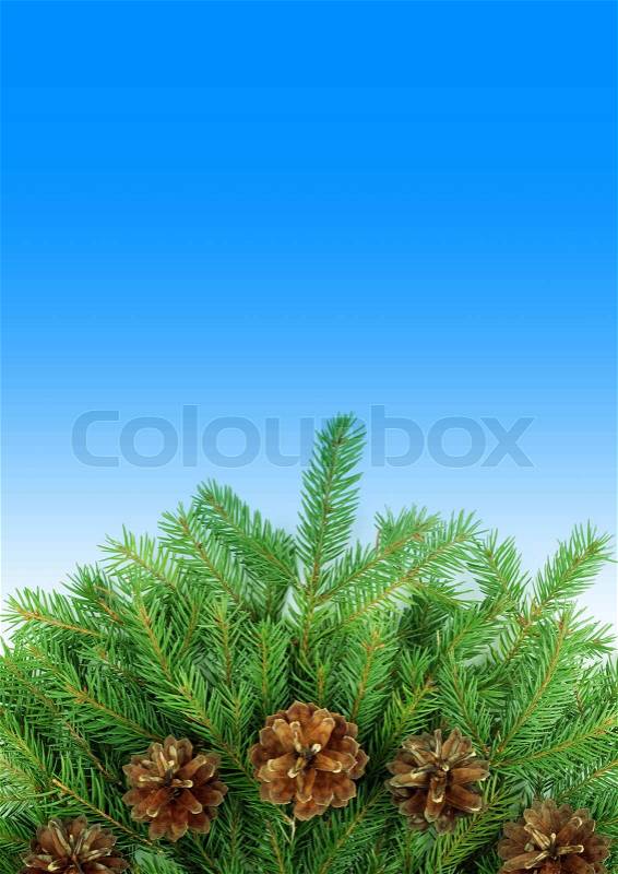 Christmas green framework isolated on blue background, stock photo