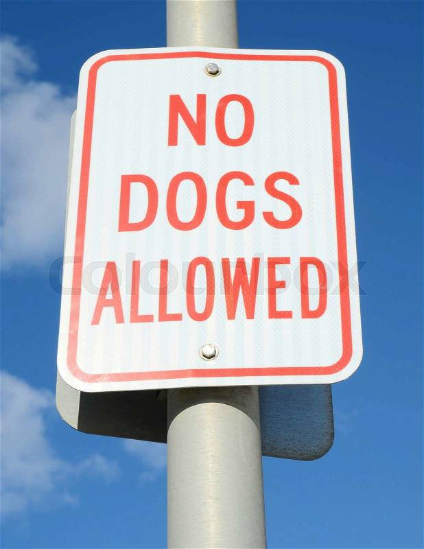 No dogs allowed sign, stock photo