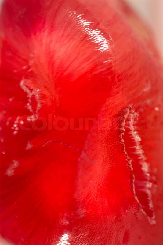 Pomegranate as a background. super macro, stock photo