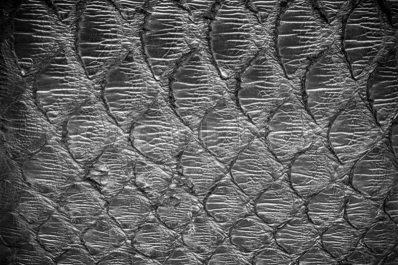 Black python leather, skin texture for background, stock photo