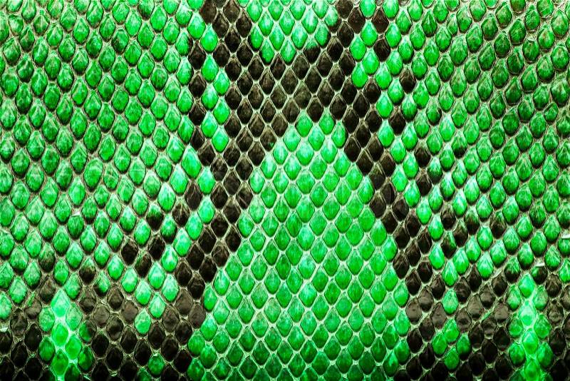 Green python leather, skin texture for background, stock photo