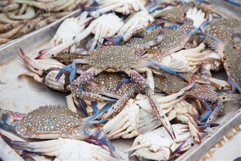 Fresh blue crab at a seafood market close up image, stock photo