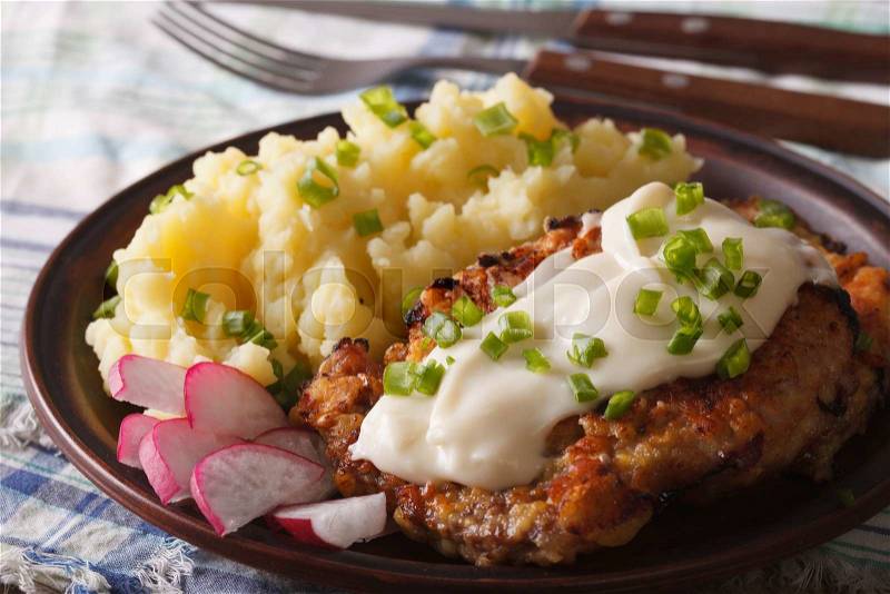 Fried chicken steak with potato garnish on a plate close-up horizontal , stock photo