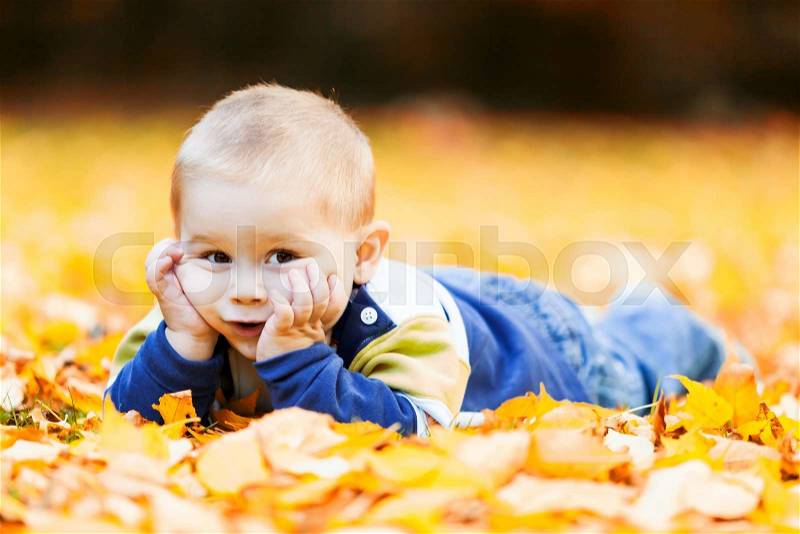 Little boy lying on the yellow leaves in the autumn park, stock photo