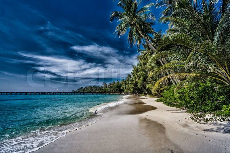 Beach with palm trees. dramatic sky with dark clouds. Beautiful sea stormy landscape, stock photo