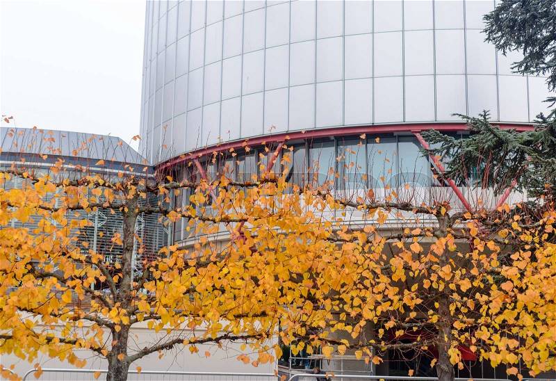 The Strasbourg European Court of Human Rights in the middle of trees in the fall, stock photo