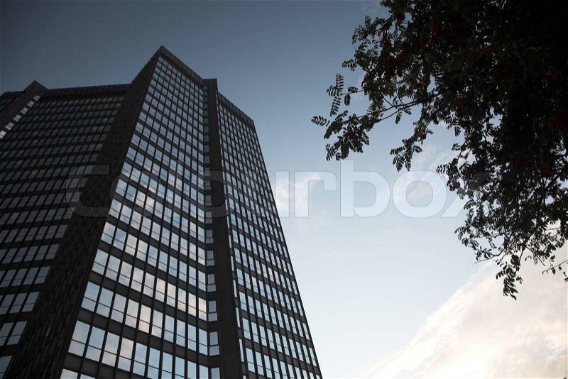 Modern buildings, shapes lines : glass building with windows, stock photo