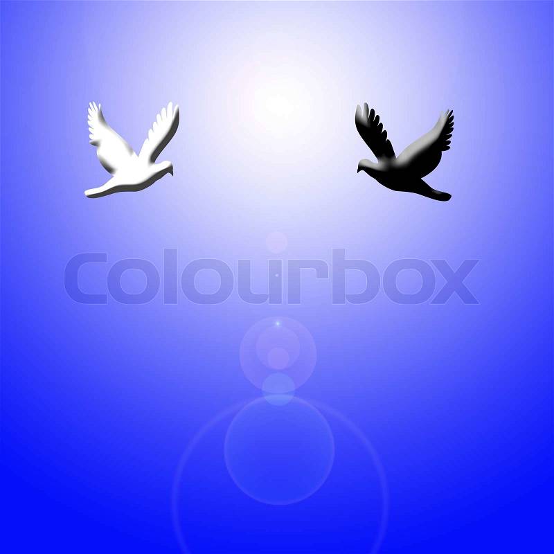 Black and white dove flying to light, stock photo